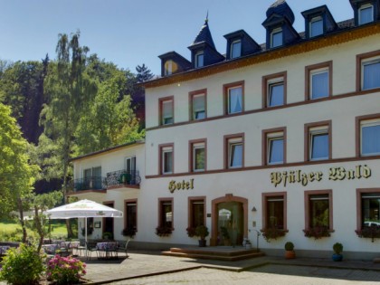 Фото: Hotel Pf&amp;auml;lzer Wald